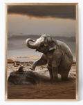 DEKOZI Ultra-High-End Wildlife Art Collection